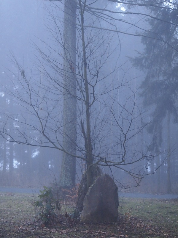 Der Stein