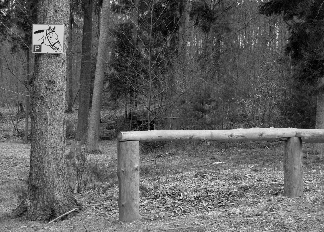Parkplatz für Pferde