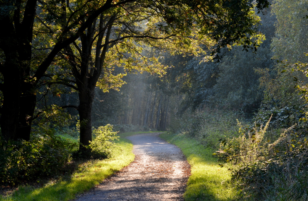 Lichter des Herbstes
