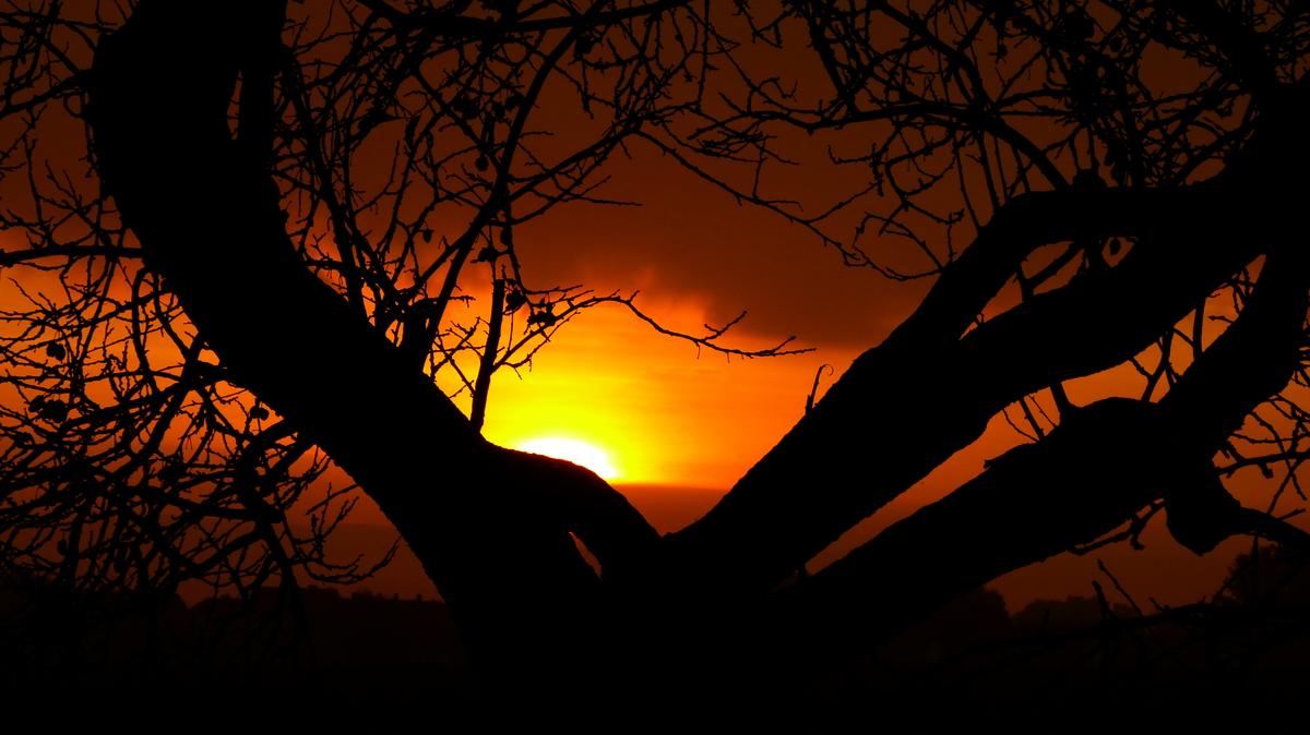 Sonnenaufgang in der Savanne :-)