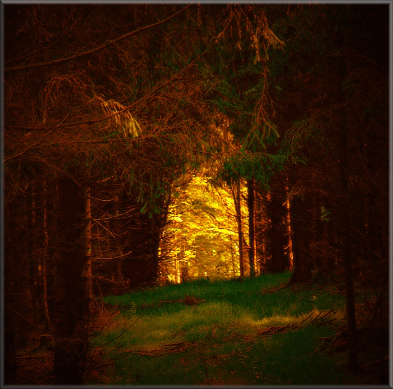 Licht am Ende des Weges