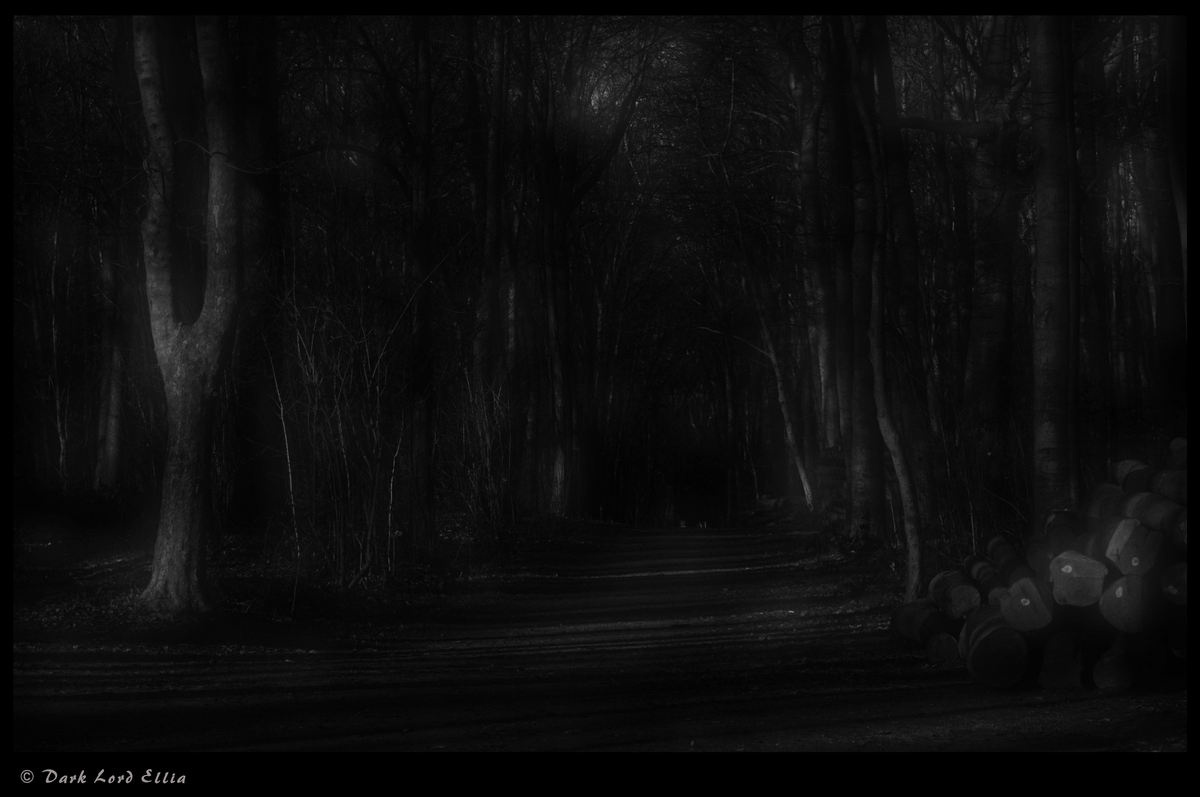 Dark