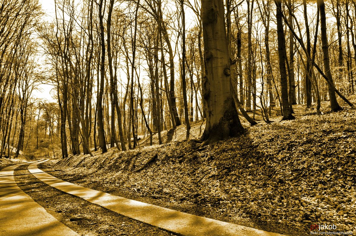 Remplin/Mecklenburg-Vorpommern