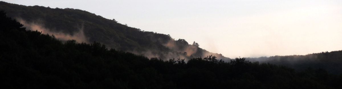 Nach dem Regen