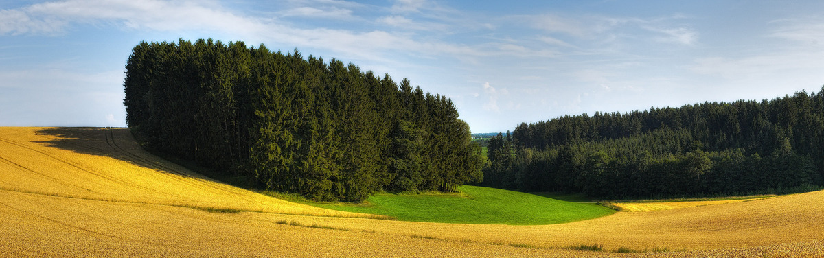 einfach ein Sommertag