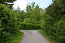 Grüner Weg
