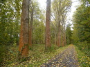 Fotos_Wege & Pfade
