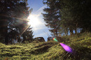 Letzte Sonnenstrahl 