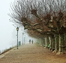 Eltville - Rheinuferpromenade - quatratischer Zuschnitt