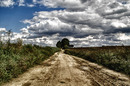 Fotos_Wege & Pfade