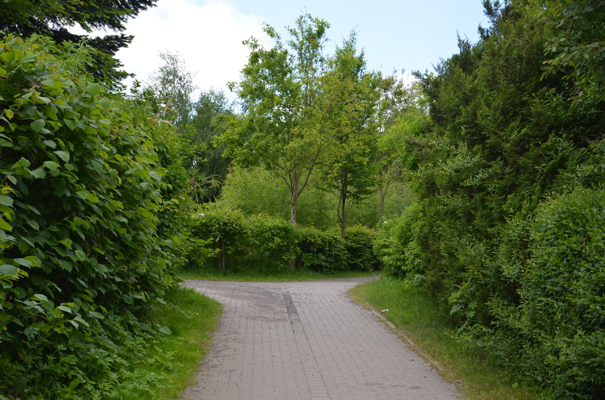 Grüner Weg