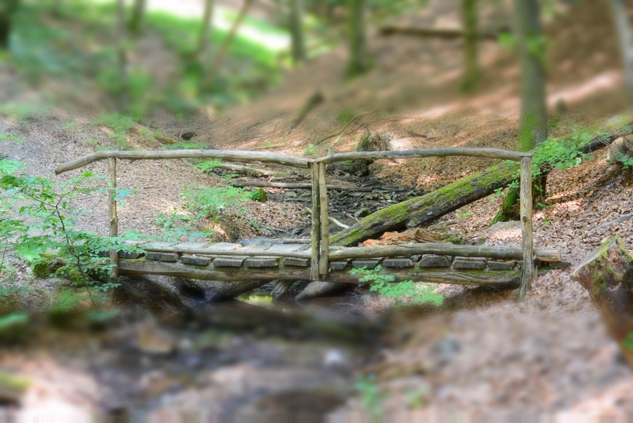 Tiefenbach Pfad in St. Wendel