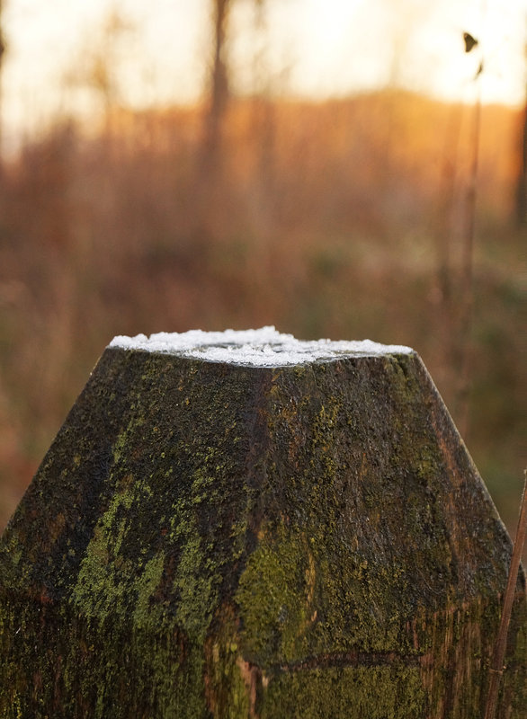 ....Schnee.......