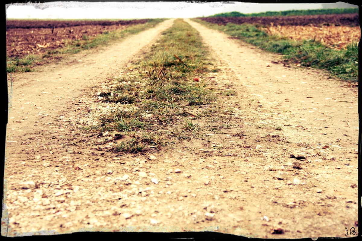 Der Weg zum Glück?!