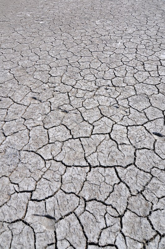 Dry