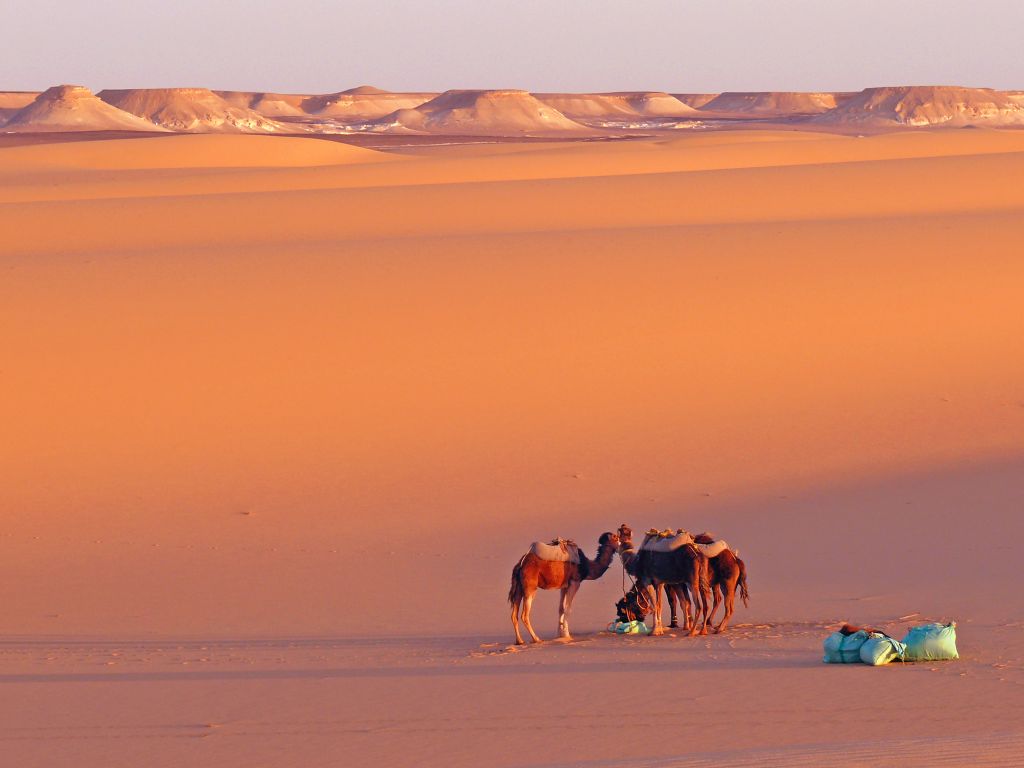 Im letzten Abendlicht