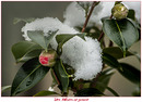 Auf zum nächsten Winter?