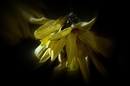 in to the light 2