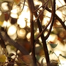 Im Innern...(Variante 1)