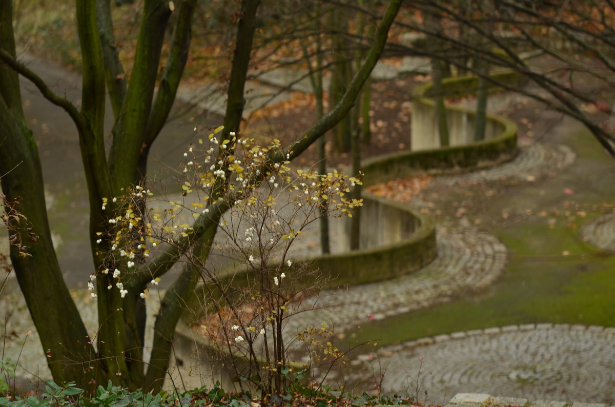 Wien Kurpark im Herbst