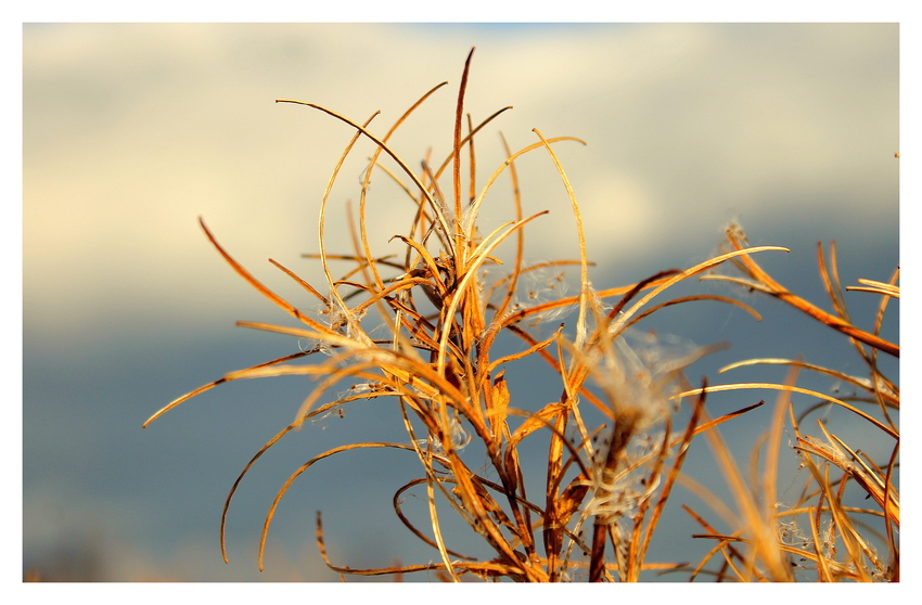 Das Unscheinbare.............