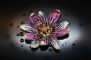 Passiflora-Parfum