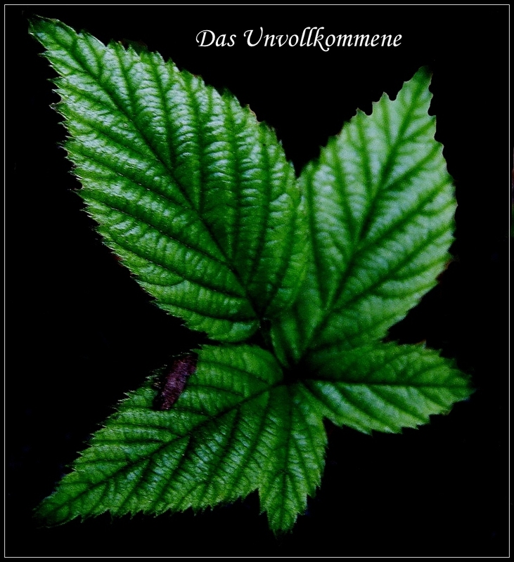 Was ist schon perfekt