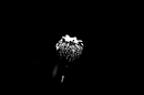 Darkness