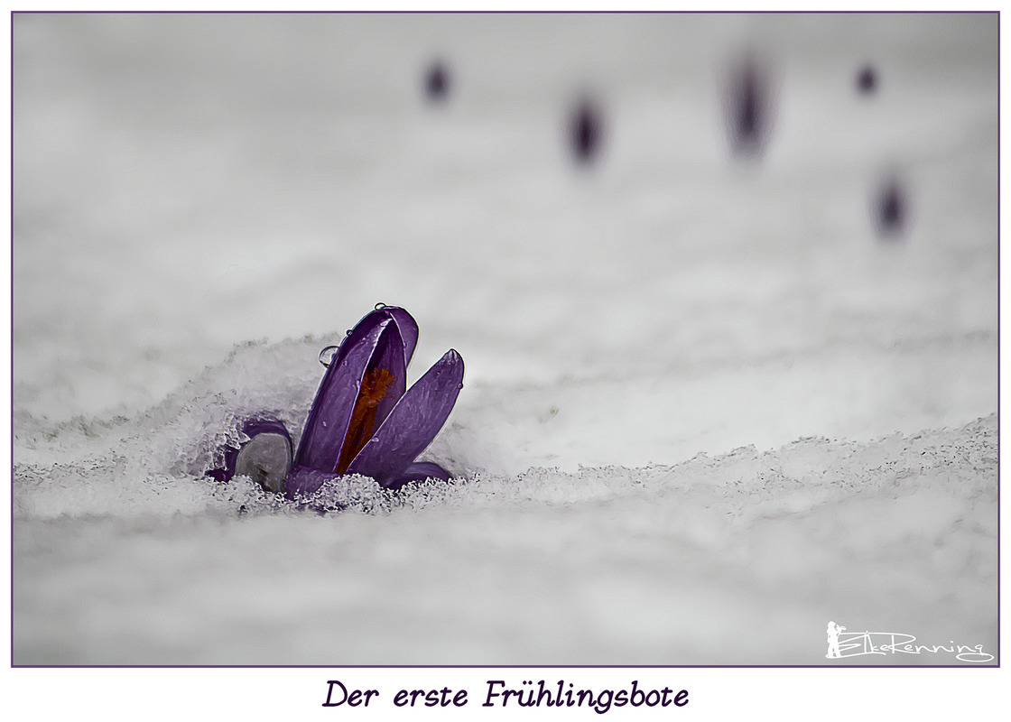 Heute im Schnee