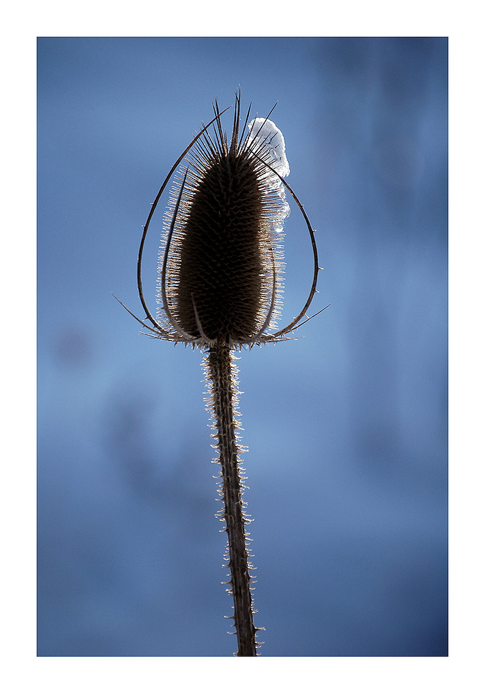 *....Der Winter naht....*