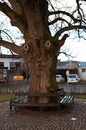 Freundlicher Baum