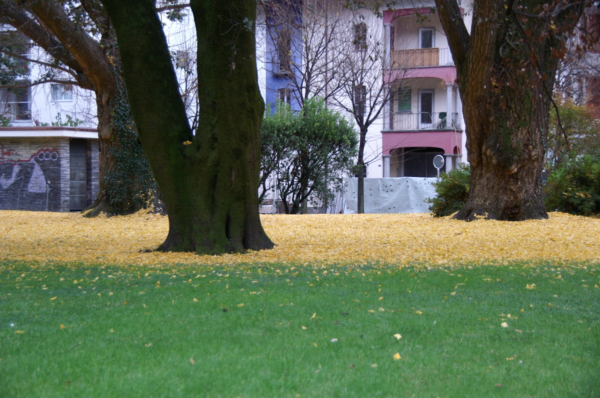 ohne Titel 2