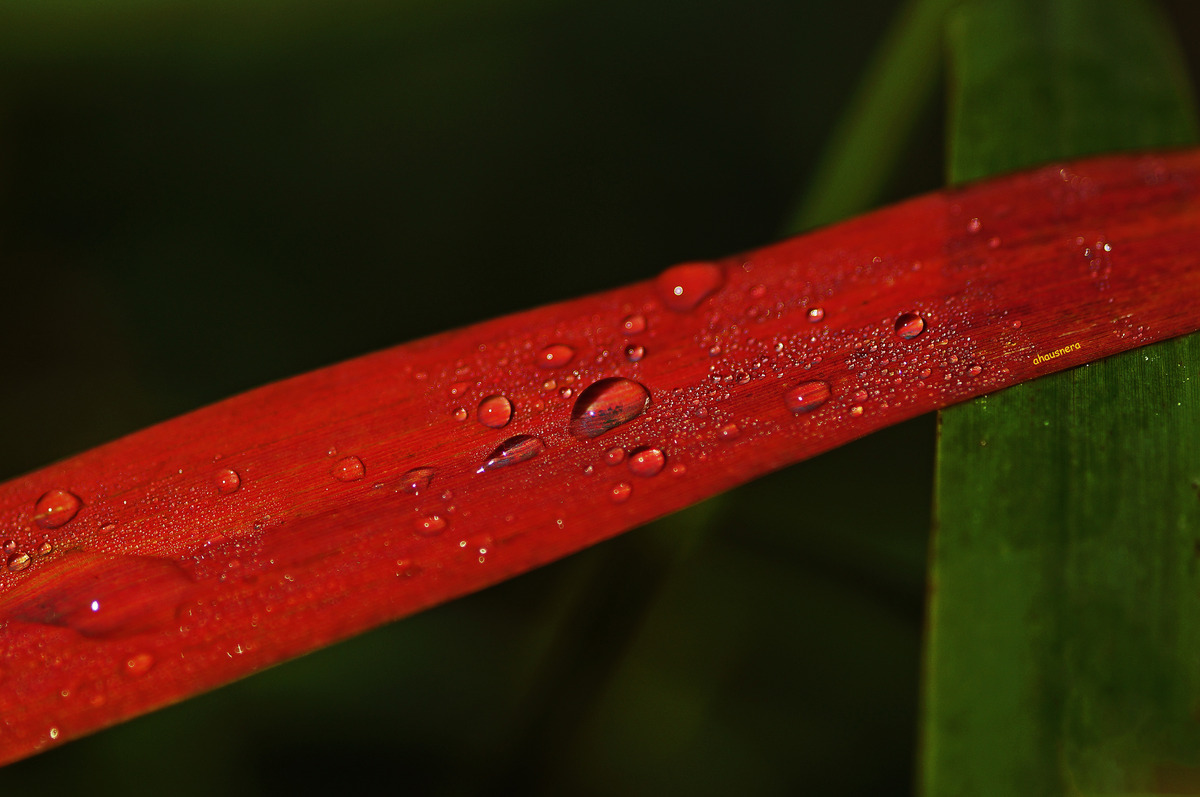 Farbenspiel