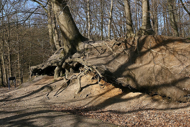 Festhalten