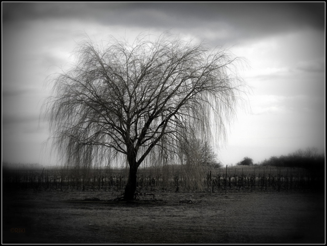 Einsam..................