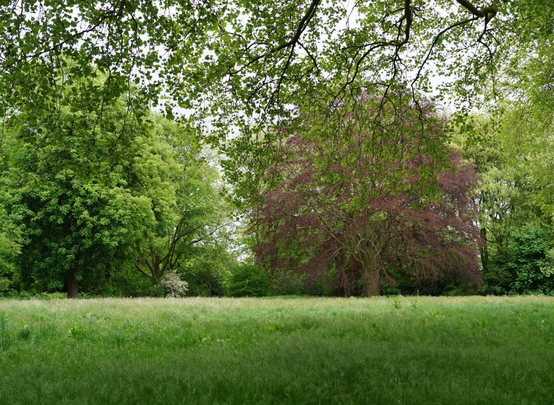 Herne Stadtgarten, Mai 2016