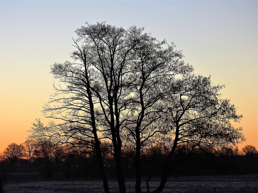 Im ersten Morgenlicht