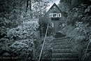 Im Harz