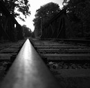 Speed of Light
