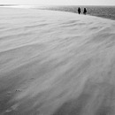 on the beach