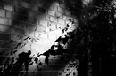 Schatten.........der Vergangenheit!?