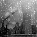 Walking in the rain I, Analogscan - Kombigrafie
