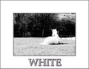 Fotos_Monochrom & Sepia