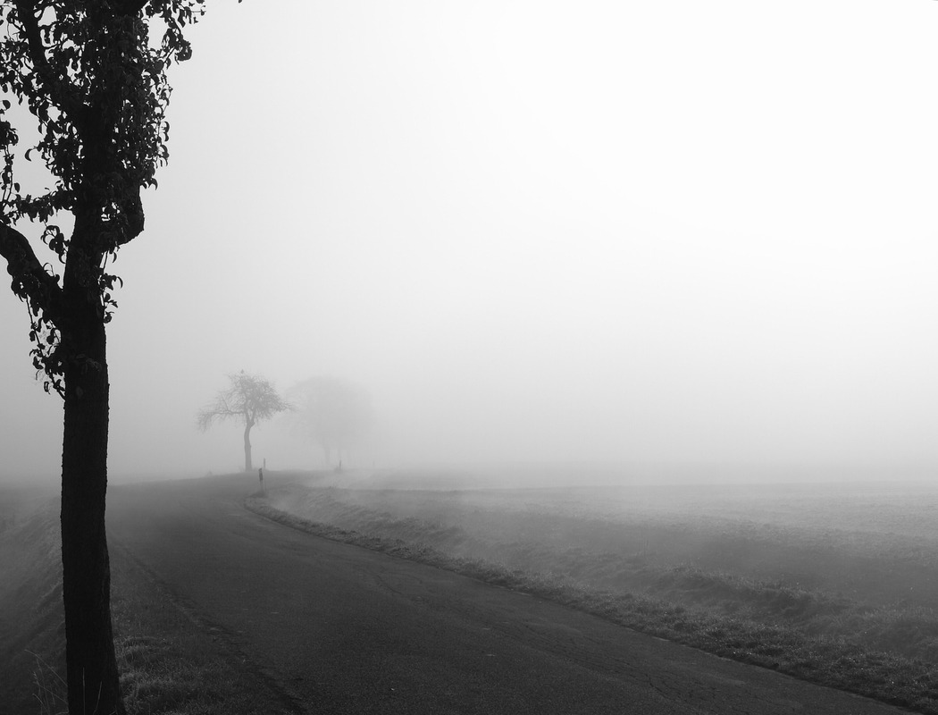 You go First in the Fog