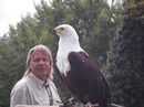 Fotos_Greifvögel