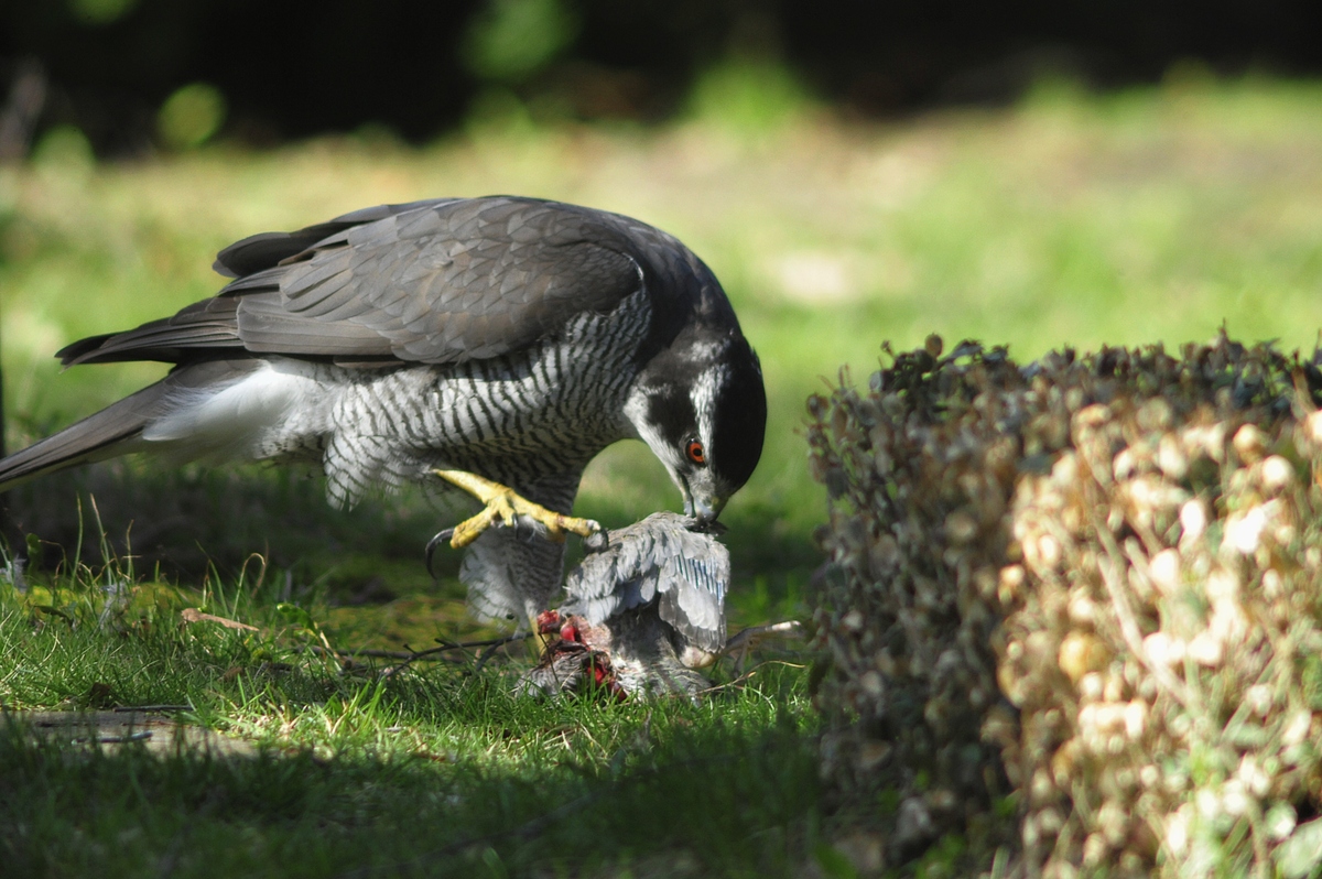 Mittagessen für die Kinder zubereiten