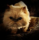 Fotos_Missglückte Fotos