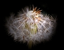 Licht 12