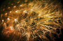 ein Feuerwerk