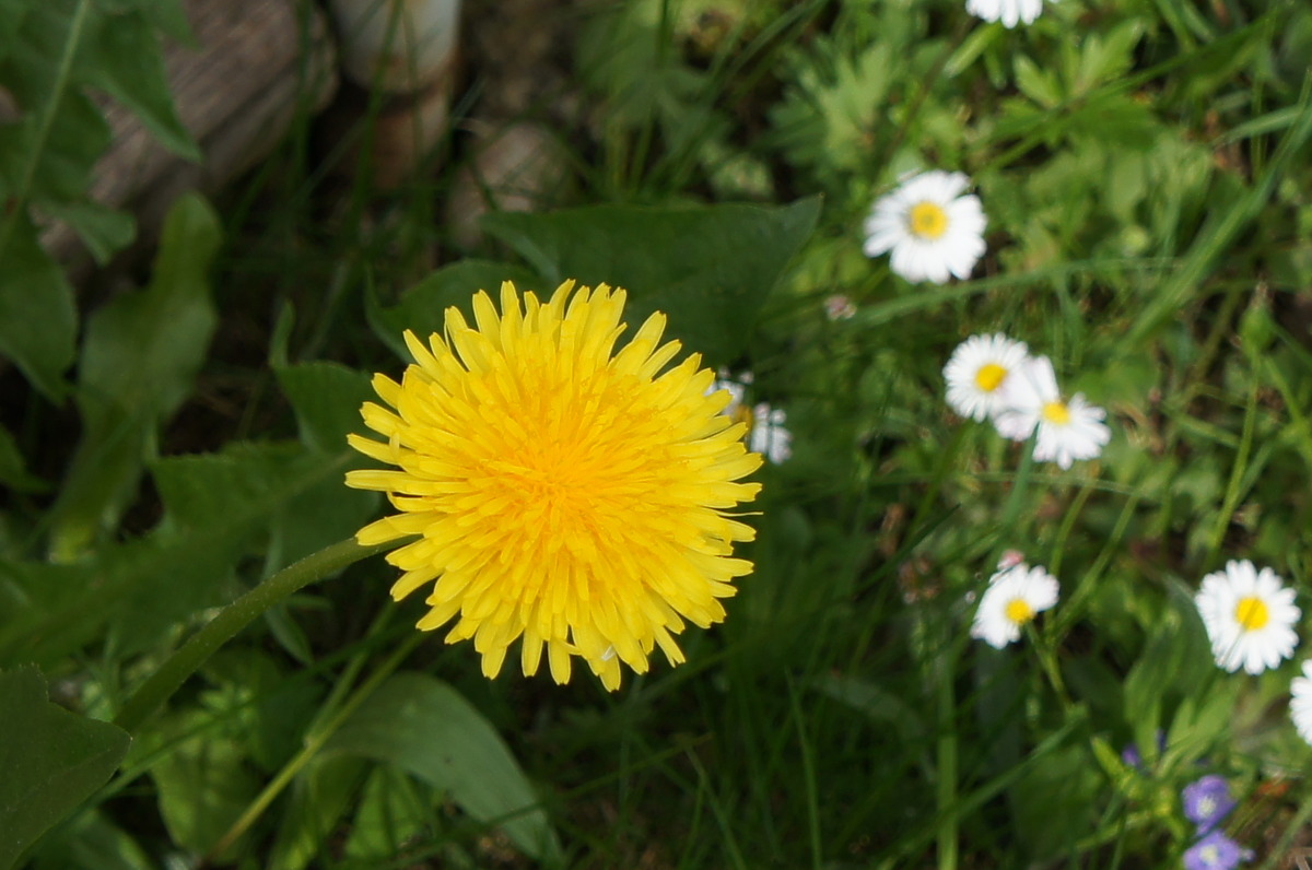 jetzt aber mächtig !